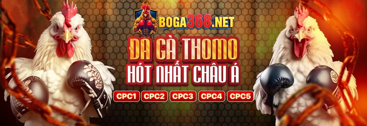Ưu đãi 8xbet